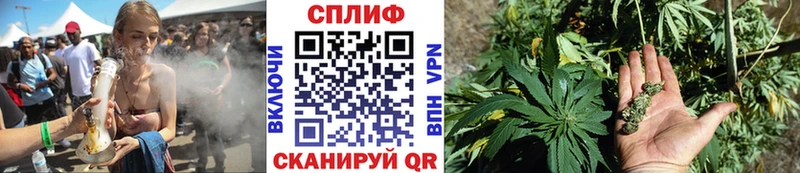 Канабис OG Kush  Горняк 